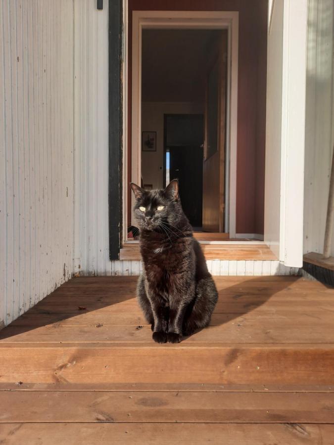 Joey'S Daire Skjervoy Dış mekan fotoğraf