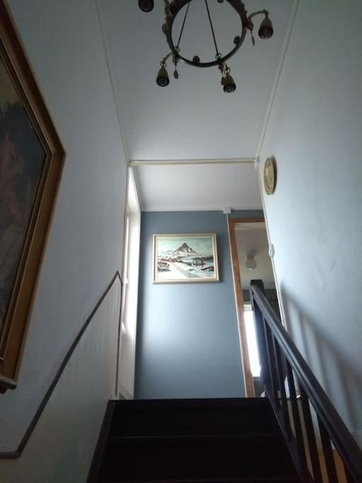 Joey'S Daire Skjervoy Dış mekan fotoğraf